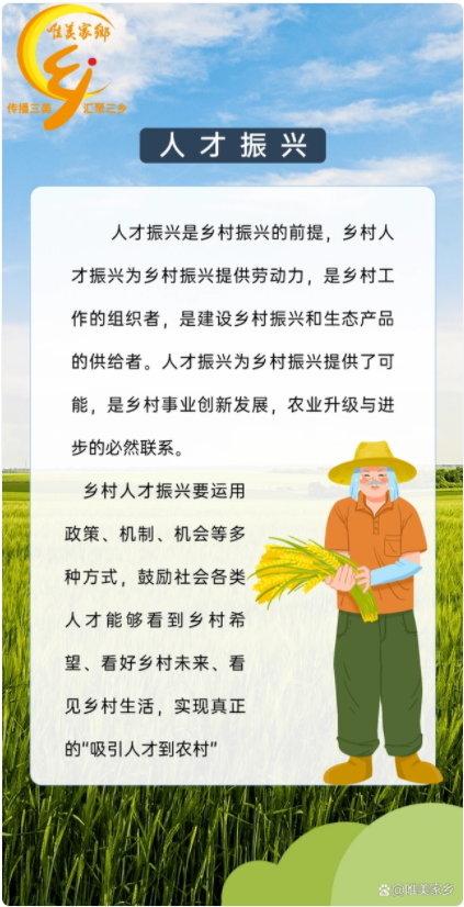 一图了解乡村振兴——五大振兴(图3)