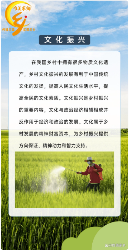 一图了解乡村振兴——五大振兴(图5)