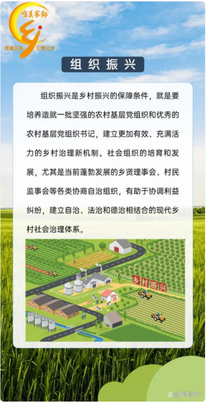 一图了解乡村振兴——五大振兴(图6)